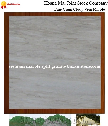 Fine Grain Cloudy Veins Marble, Viet Nam White Marble Slabs & Tiles