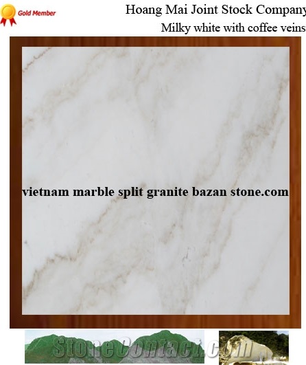 White Marble with Coffee Veins