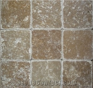 Anticato Noce Travertine Tiles10x10x1 or 20x20x1