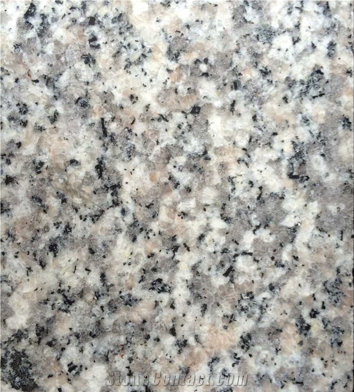 G623 Granite Slab,China Bianco Sardo,Counter White,Gamma Grey,Grigio Sardo,Moon Pearl,Padang Beta,Cristallo Grigio,Padang Grey,Rosa Beta,Snow Grey Granite Tile & Slab