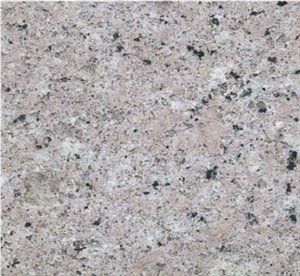 Quanzhou White Granite Slabs & Tiles, China White Granite