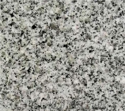 Salome White Granite Slabs & Tiles, China Grey Granite
