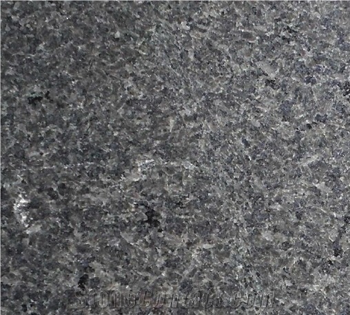 Zion Grey Granite Tile & Slab, China Grey Granite