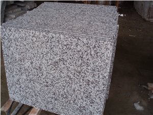 Chinese Natural Stone G439 White Granite White Flower Granite Tile, Bala White Granite