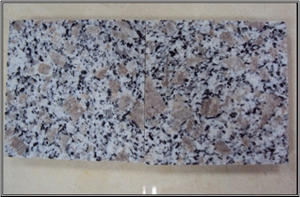 Popular and Hot Chinese G383 Granite Tiles & Slabs with Pretty Competitive Price