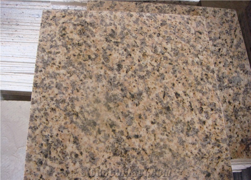 Popular Yellow Granite for Floor and Wall