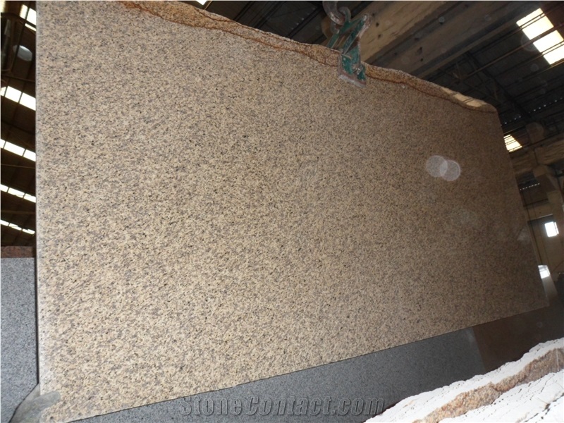 Popular Yellow Granite for Floor and Wall