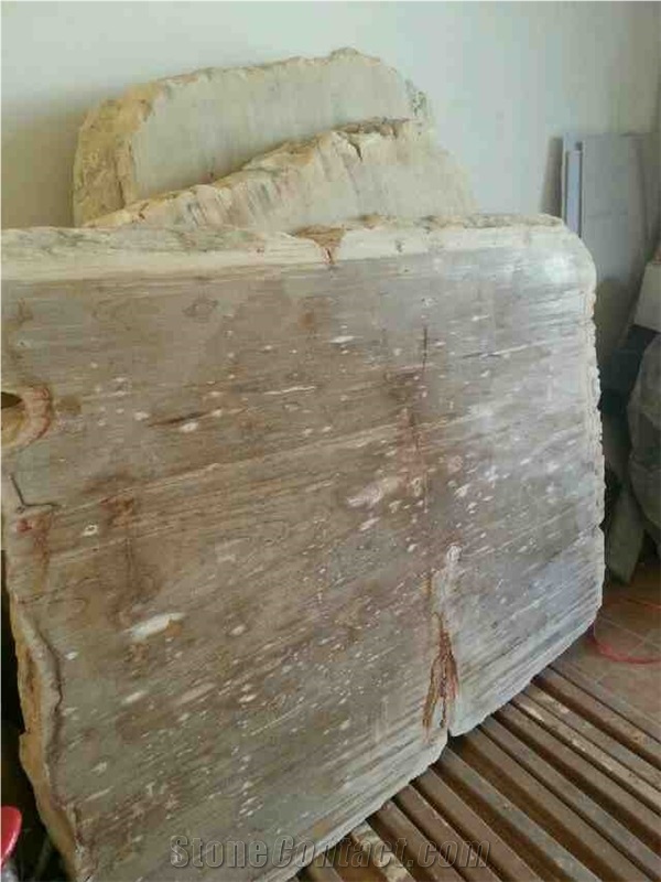 Petrified Wood Stone Table Top