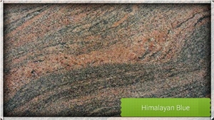Himalayan Blue