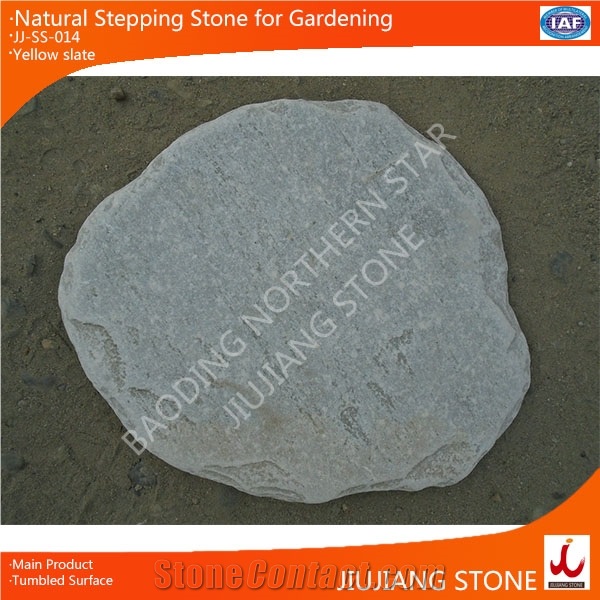 Flagstone Stepping Stone