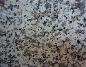 G439 White Granite,Big White Flower Granite Top
