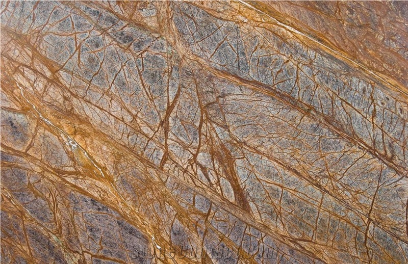 Rain Forest Brown Marble Slabs, Rainforest Brown Marble Tiles