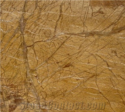 Rain Forest Gold Marble Polished Slabs