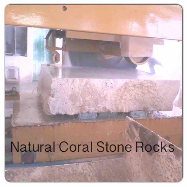 Natural Coral Stone Rocks