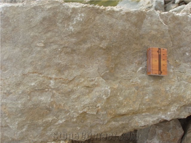 Reval Limestone Tallinn-Narva Quarry