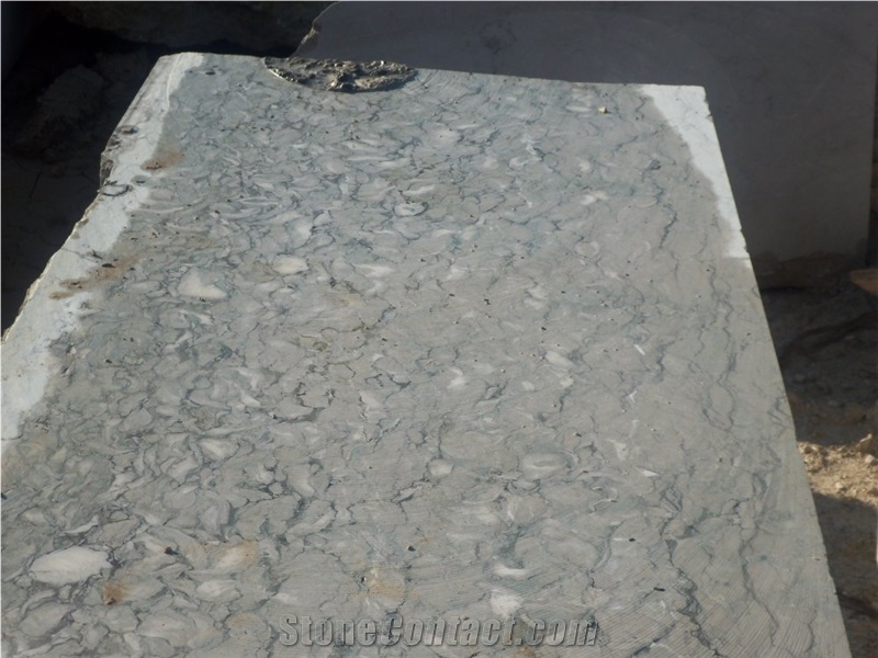 Fossil Beige Marble Quarry