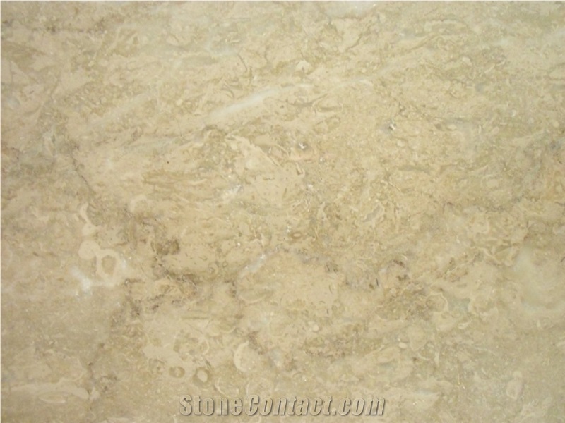 Fossil Beige Marble Quarry