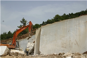 Fossil Beige Marble Quarry