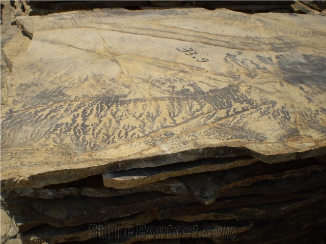 Fossil Quartzite Stone Quarry