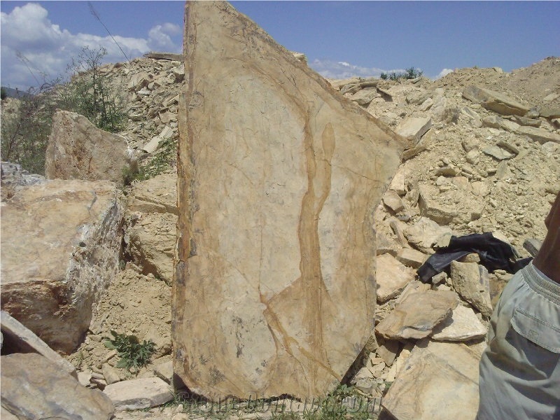 Fossil Quartzite Stone Quarry