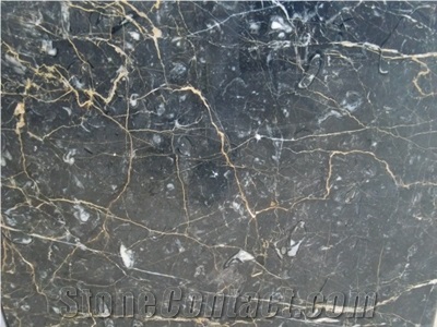 Iran Nero Marquina Marble - Golden Black Marble Quarry