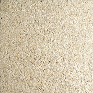 Amarillo Fosill - Arenisca Fossil Sandstone Quarry