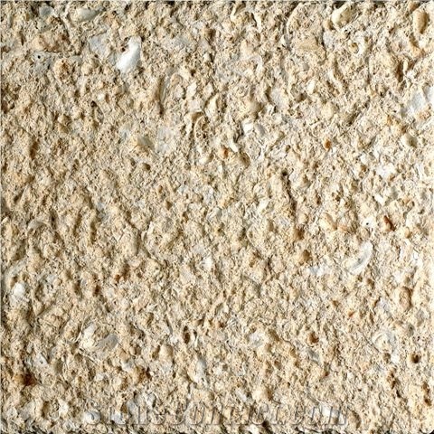 Amarillo Fosill - Arenisca Fossil Sandstone Quarry