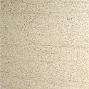 Amarillo Fosill - Arenisca Fossil Sandstone Quarry