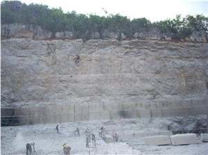 China Guizhou Wooden White Marble  Quarry