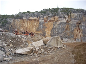 China Wooden Grey Quarry