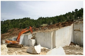 Fossil Beige Marble Elbistan Quarry