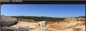 Codurneiro N4 Creme Champagne Limestone Quarry