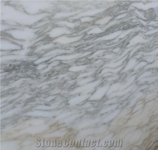 Calacatta Ocean Grey Marble and Gold Quarry