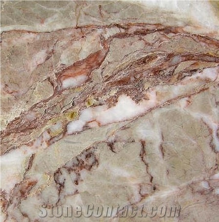 Ada Dove Red Marble Tile