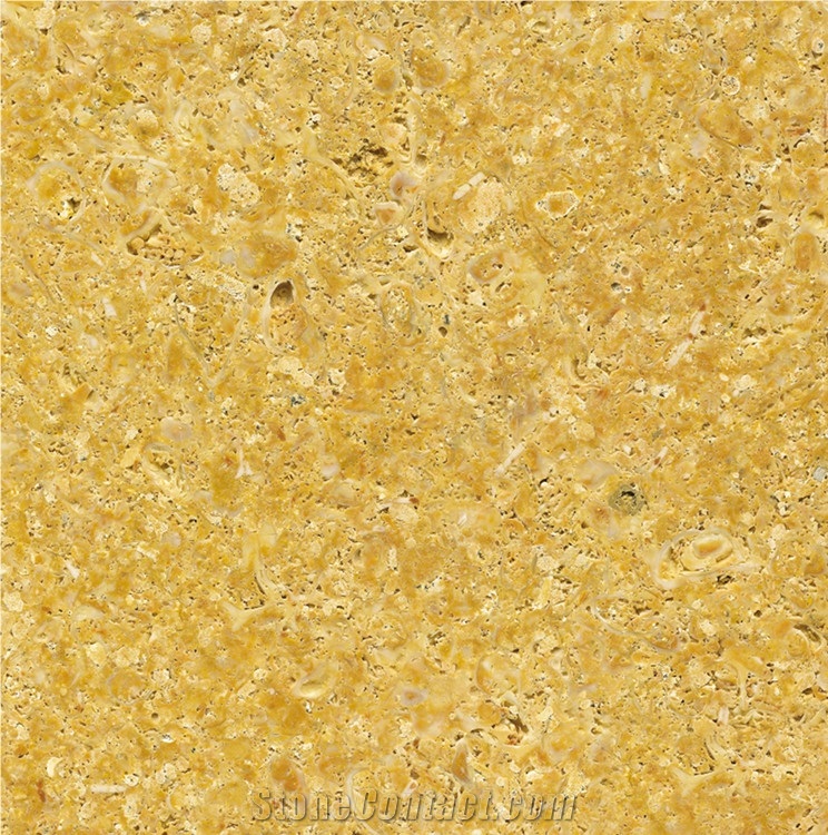 Amarillo Fosil Tile