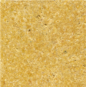 Amarillo Fosil Tile