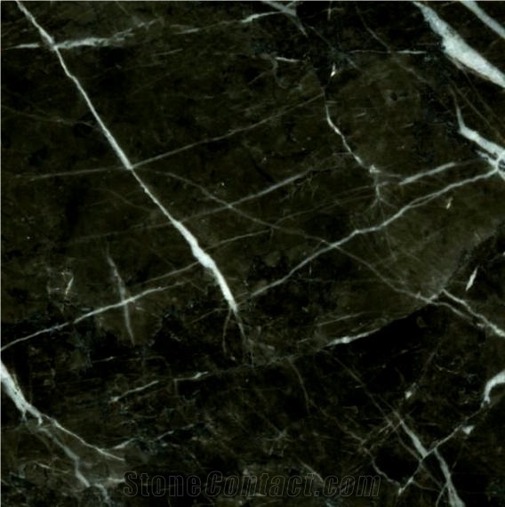 Anatolian Black Marble Tile