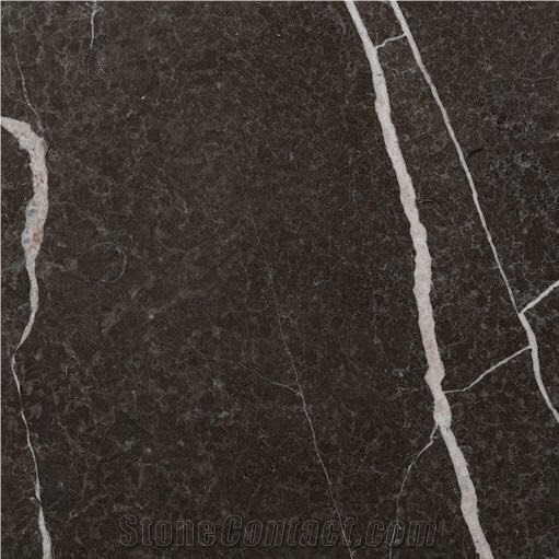 Anglesey Vein Marble 