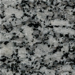 Apple White Granite Tile