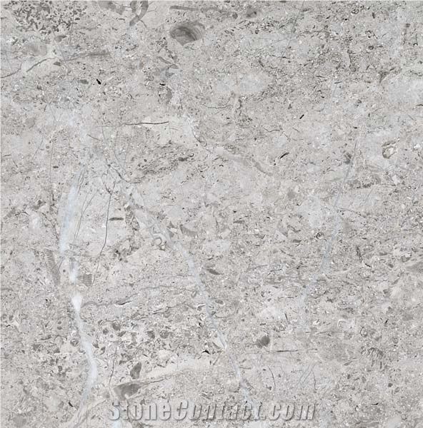 Arctic Grey Marble Tile