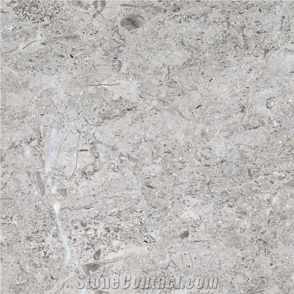 Arctic Silver Limestone 