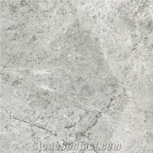 Arctic Silver Limestone Tile