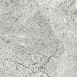 Arctic Silver Limestone