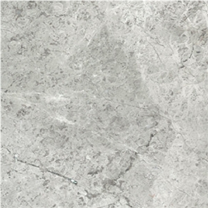 Arctic Silver Limestone Tile