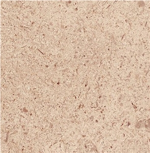 Arena Clara Limestone