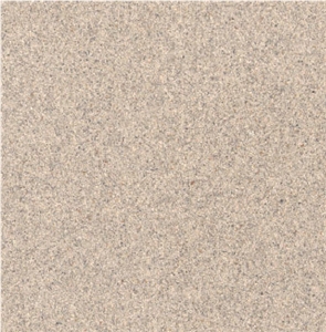 Arenisca Marina Gris