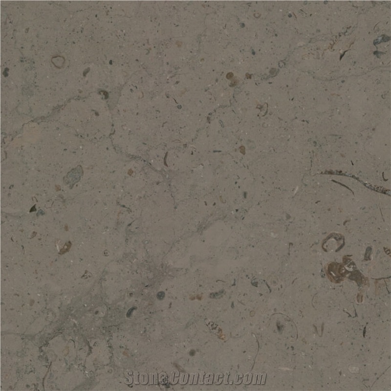 Barranca Limestone Tile