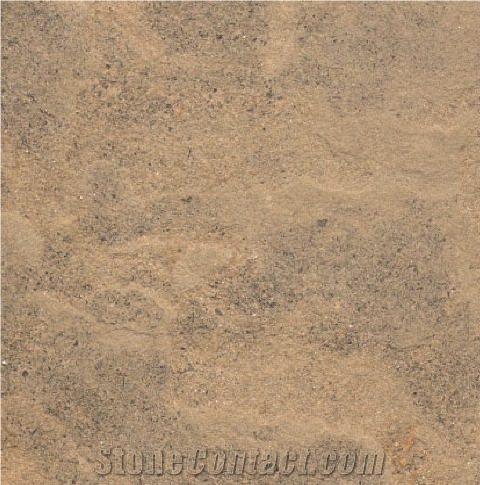 Bedonia Sandstone 