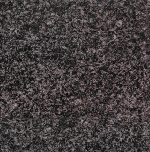 Beida Black Granite Slabs & Tiles, China Black Granite