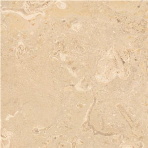 Beige Ain Dhissa Limestone